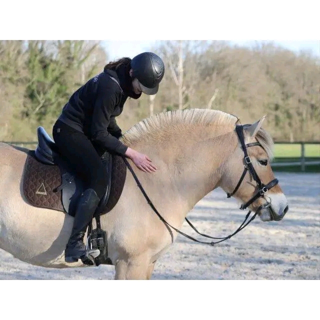 Dressage Thorowgood T8