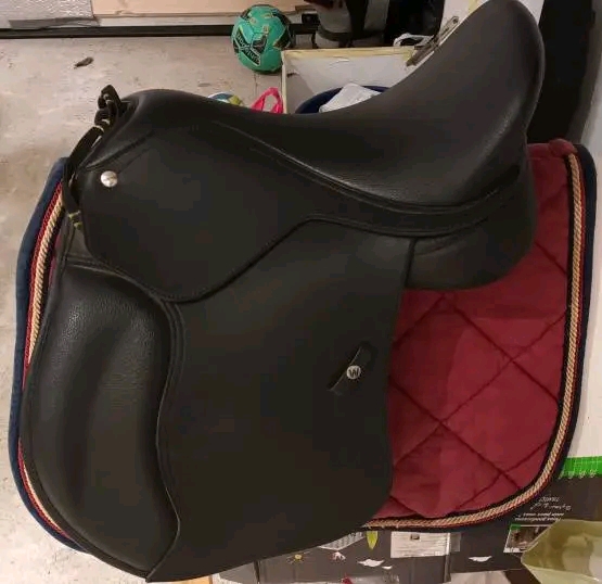 Saddle obstacle Wintec 16 inches (2023)