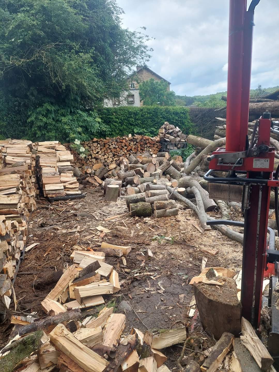 Firewood at 40 euros per cubic meter