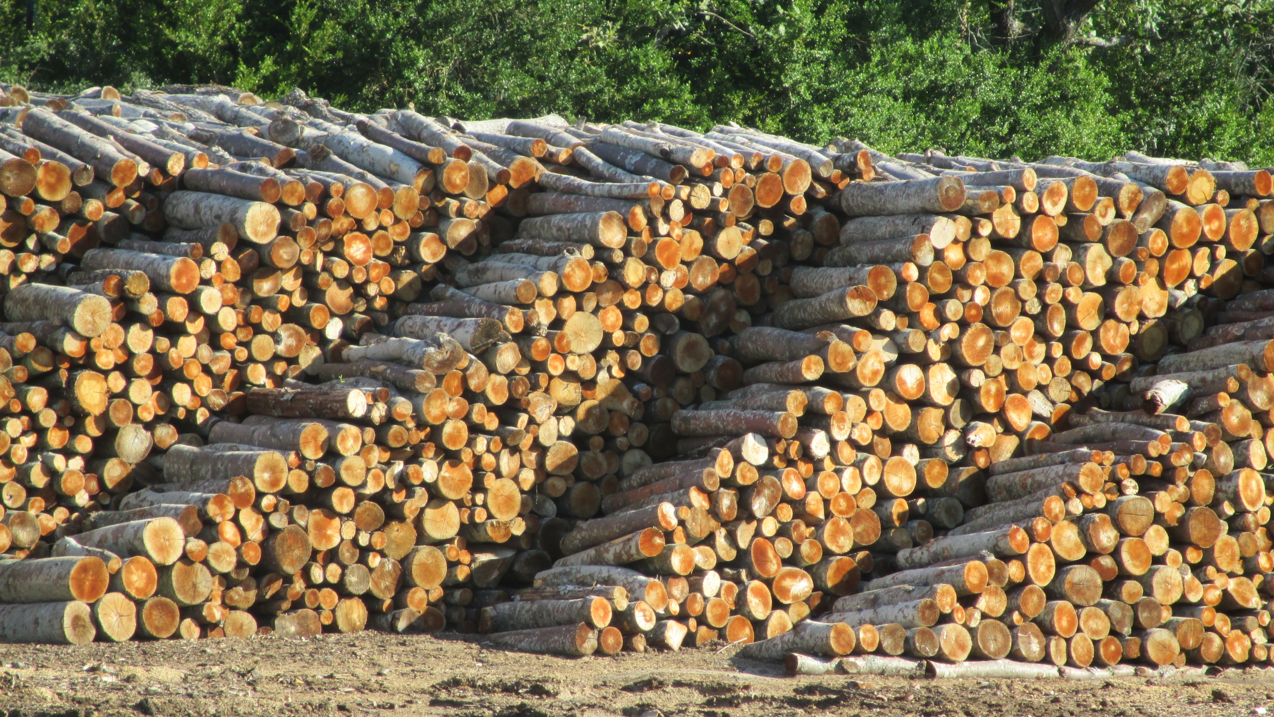 wood from France