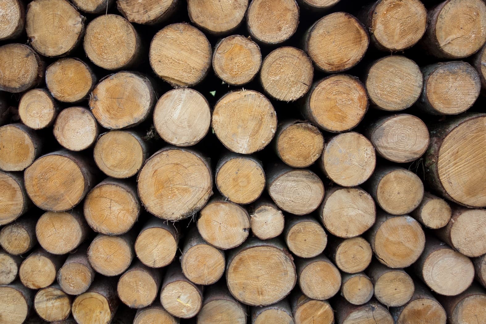 wood from France