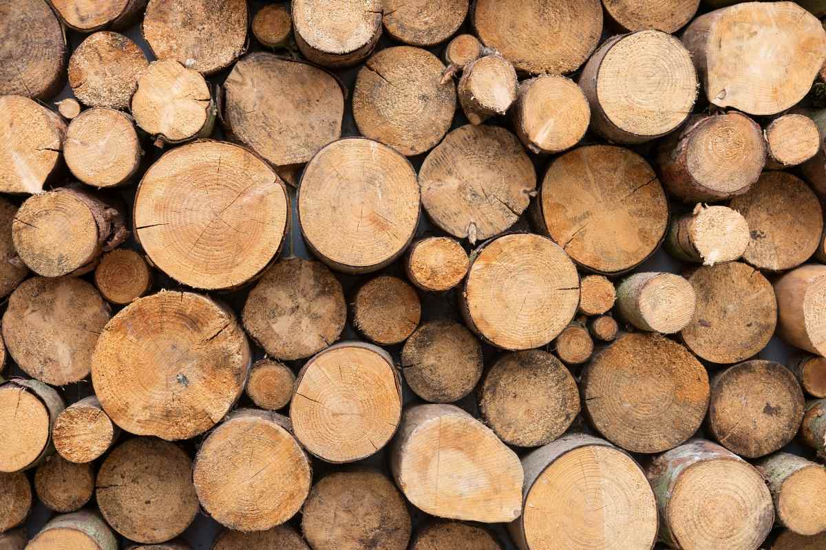 Firewood at 40 euros per cubic meter
