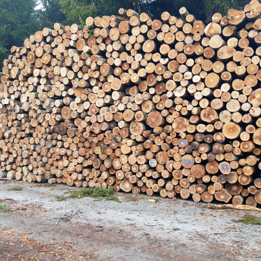 Firewood at 40 euros per cubic meter