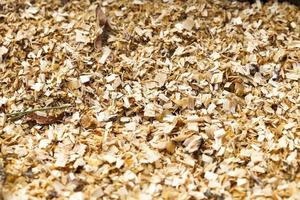 Firewood 