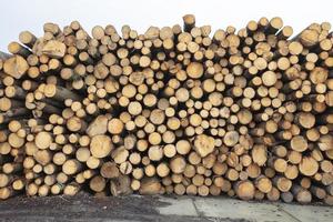 Firewood 